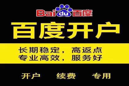 搜索引擎营销（SEM）推广策略案例分享